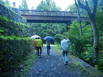 DSCN9341.JPG