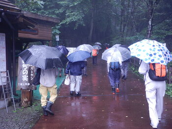DSCN9408.JPG