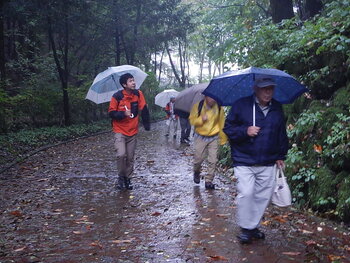 DSCN9410.JPG