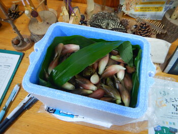 DSCN9448.JPG