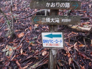 DSCN9468.JPG