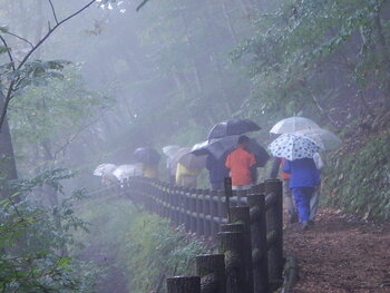 DSCN9470.JPG