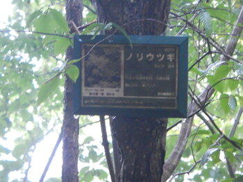 DSCN9484.JPG