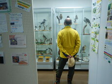 DSCN9685.JPG