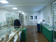 DSCN9686.JPG