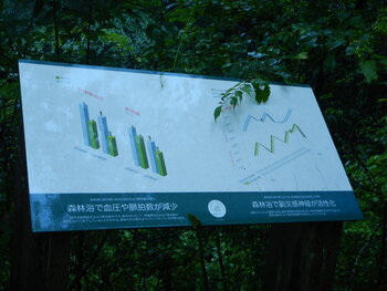 DSCN9722.JPG